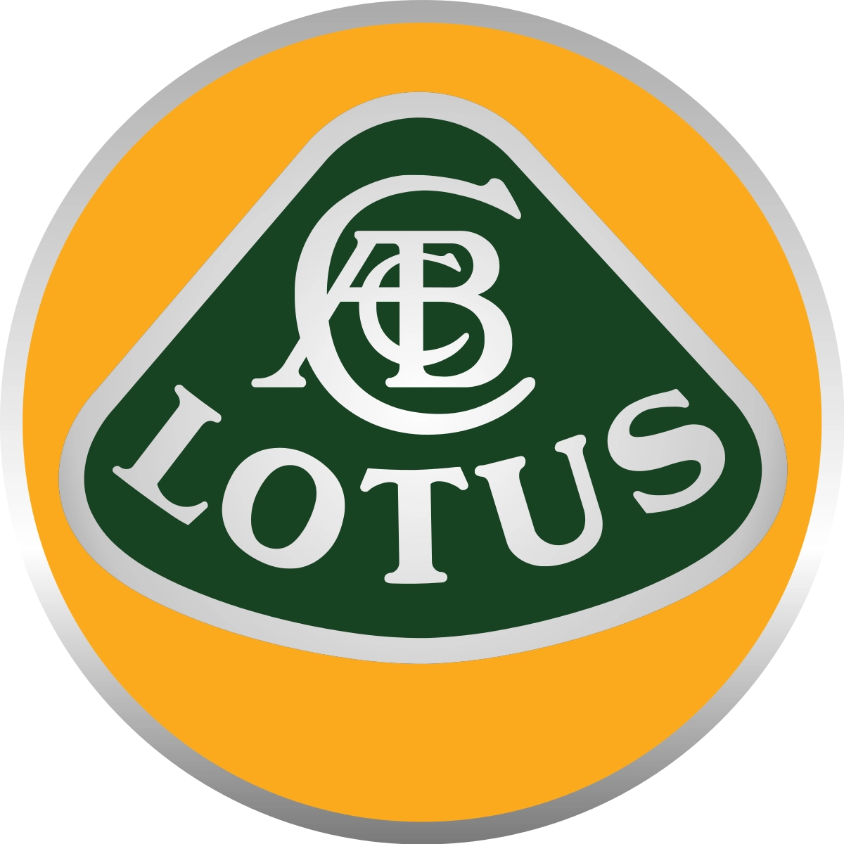 Joint de porte avant gauche  Lotus